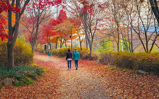 大邱旅游保险